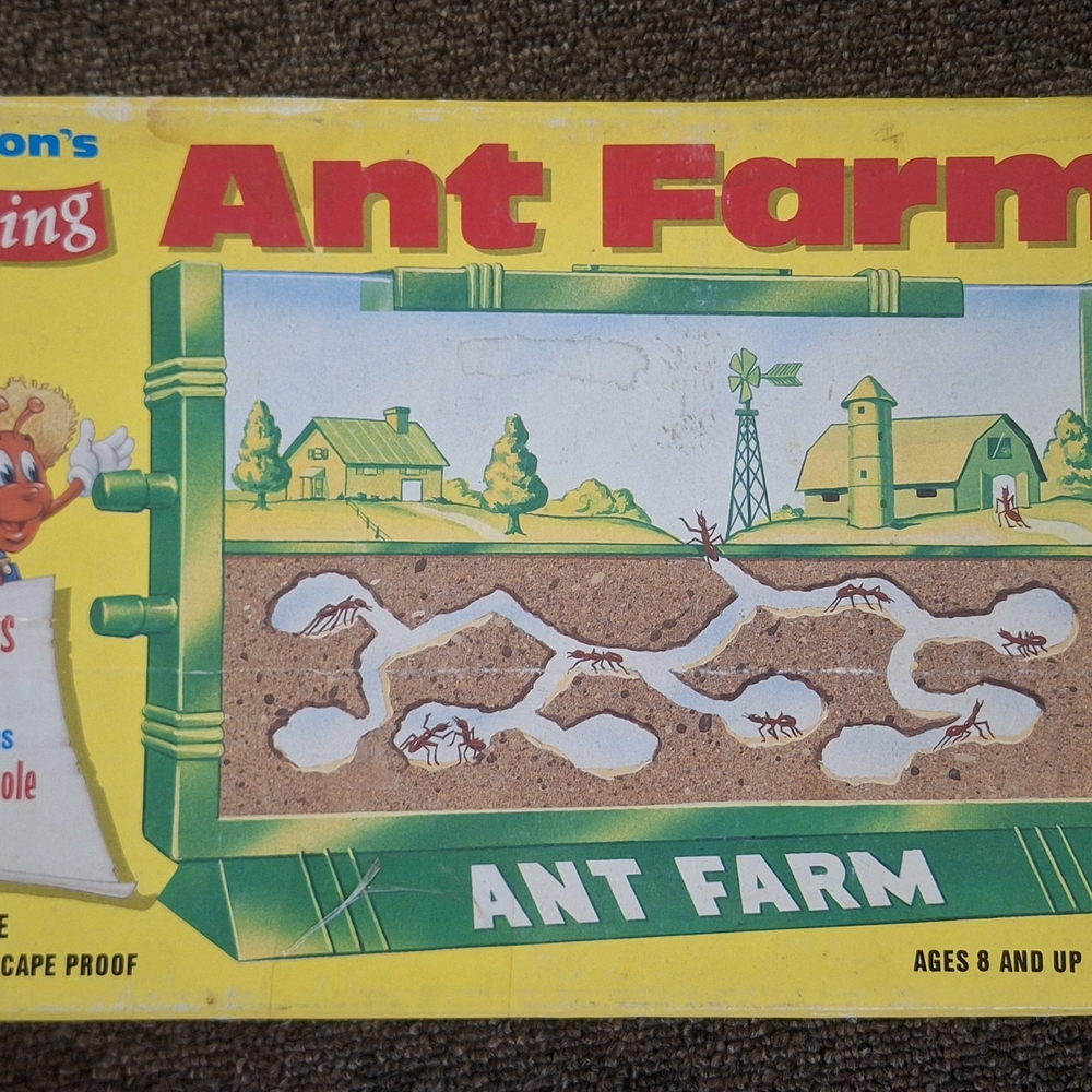 Ant Farm Display with Yellow & Green Packaging